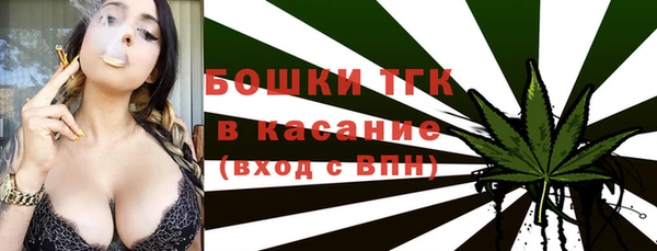 дживик Бородино