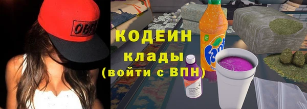 дживик Бородино