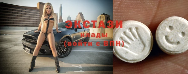 дживик Бородино