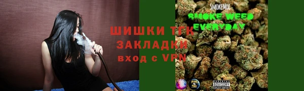 дживик Бородино