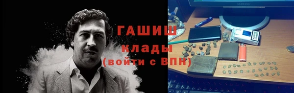 дживик Бородино