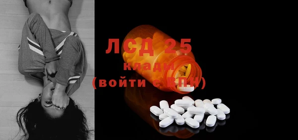 дживик Бородино