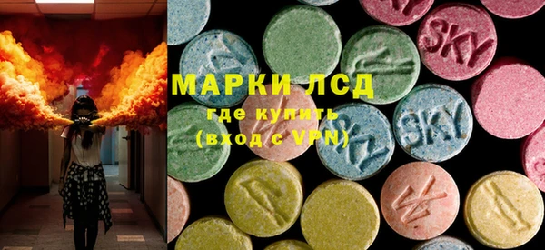 дживик Бородино