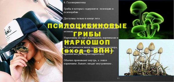 дживик Бородино