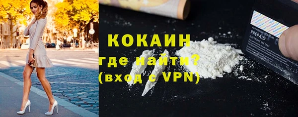 дживик Бородино