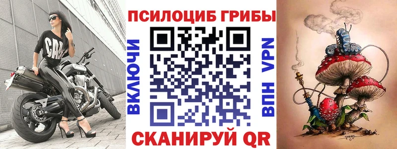 Купить где  Новосокольники  Псилоцибиновые грибы Psilocybe 